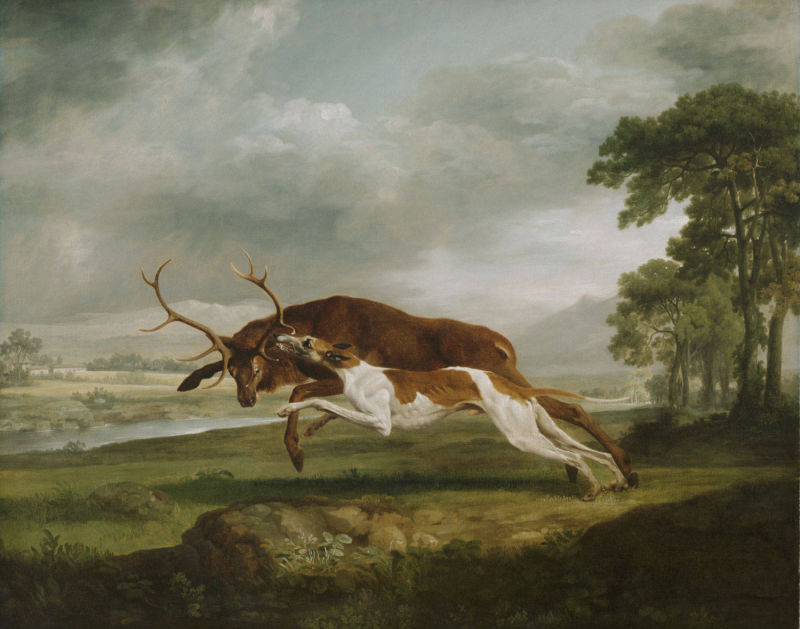 George Stubbs